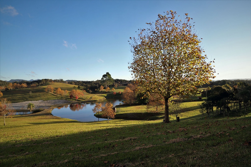 Fazenda Terramilia